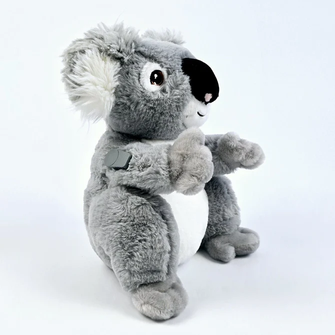 katie the koala for diabetes supplies 517241 670x